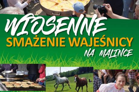 Wiosenne smażenie Wajeśnicy na Malince